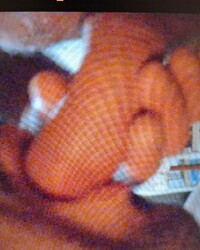 album-cover