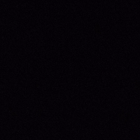 giadatarquini Avatar