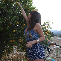 vitaminac Avatar