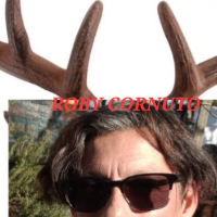 husbandhorn Avatar