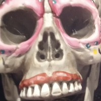 Guizzo Avatar