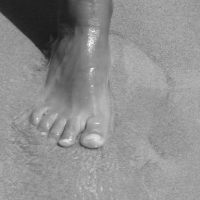 Farfallinadispettosa Avatar