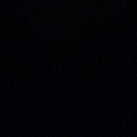 mollytrap Avatar
