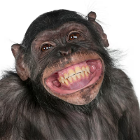 PippoBaudoo Avatar