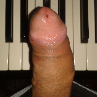 pianofortecaldo Avatar