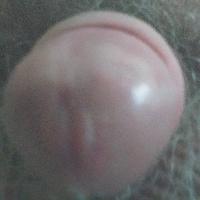 voglioso73 Avatar