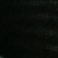nira2000 Avatar