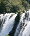 vitosif120 Avatar