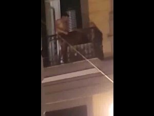 Coppia Napoletana danno spettacolo sul balcone di casa