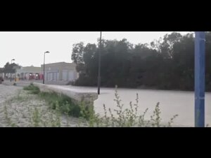 Thumb 8